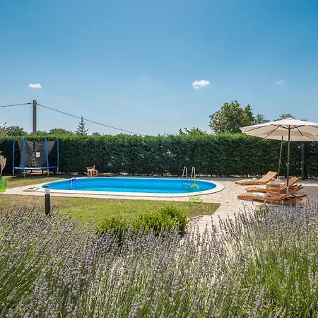 Family Friendly House With A Swimming Pool Cerion, Istria - Sredisnja Istra - 16332